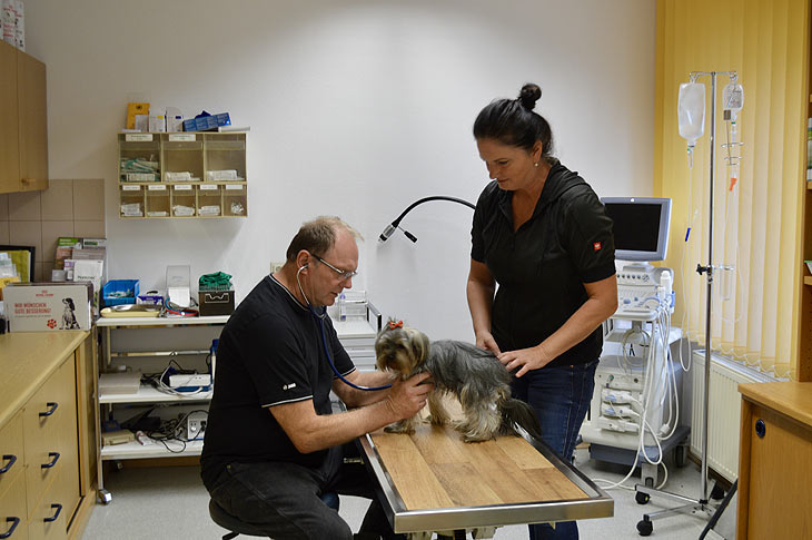 Immer im Einsatz! Heinrich Neuberger behandelt gro&szlig;e und kleine Tiere Fotos: Marille R&uuml;b